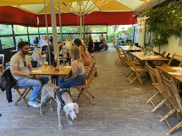 Dog freindly restaurants Amsterdam