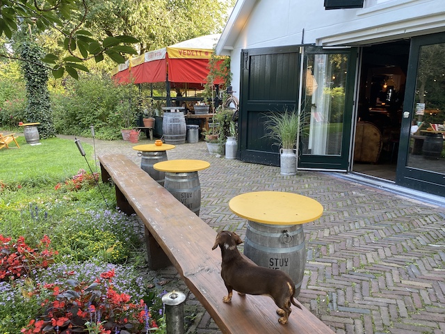 Dog friendly restaurants Amsterdam Vergulden eenhoorn outside